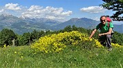 06 Ginestra alla Baita Sornadello (1407 m)